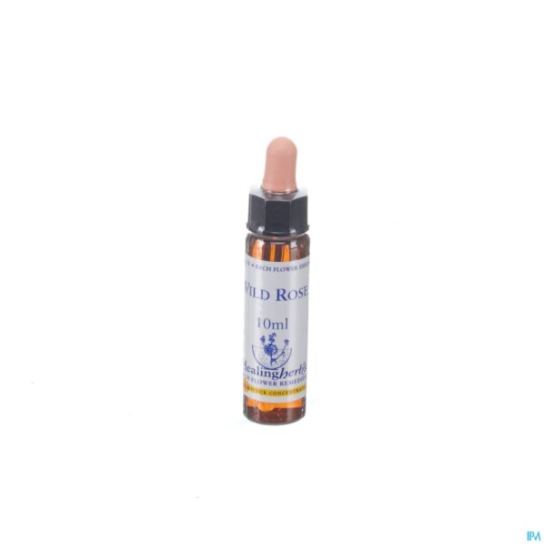 Packshot Healing Herbs Wild Rose 10ml