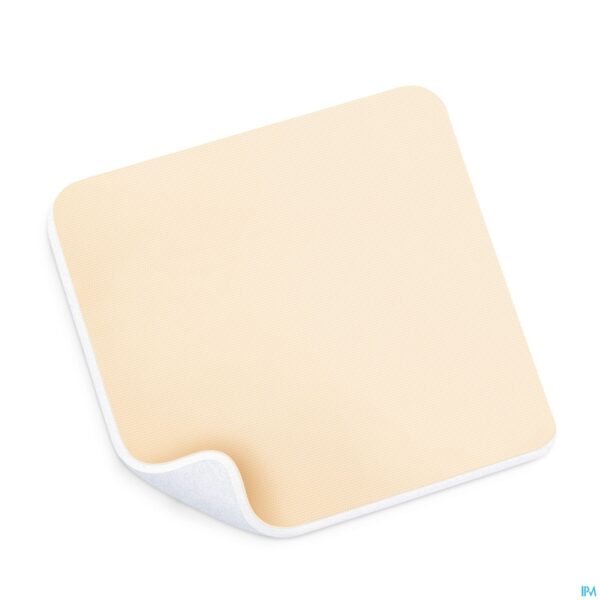 Productshot Permafoam Classic 15x15cm 10 8820010