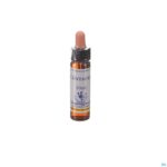 Packshot Healing Herbs Centaury 10ml