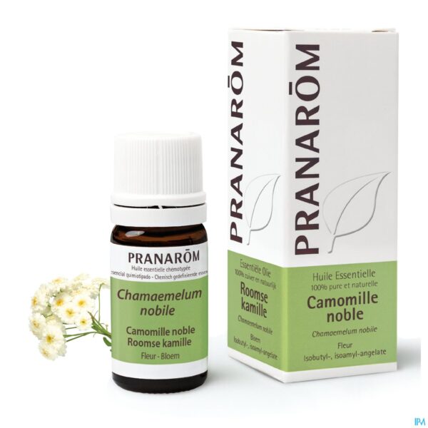 Lifestyle_image Pranarom Eo Roomse Kamille 5ml