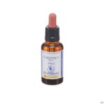 Packshot Healing Herbs Chestnut Bud 30ml