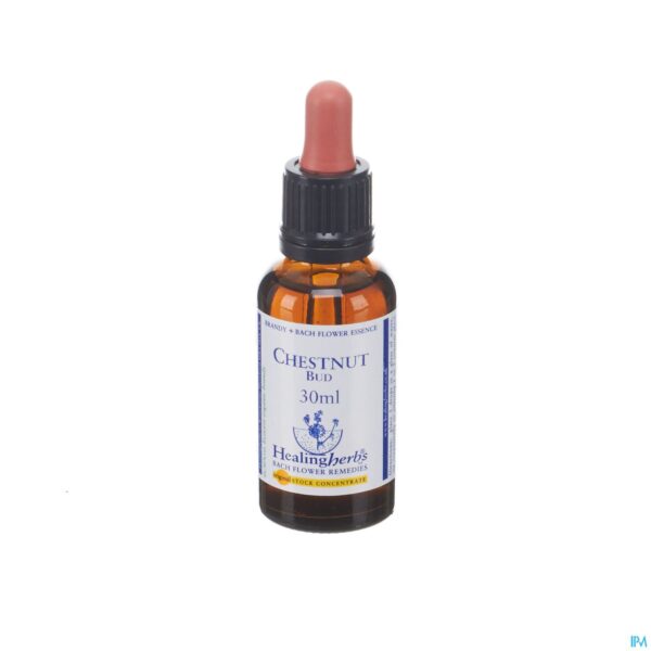 Packshot Healing Herbs Chestnut Bud 30ml