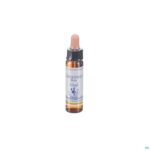 Packshot Healing Herbs Chestnut Bud 10ml