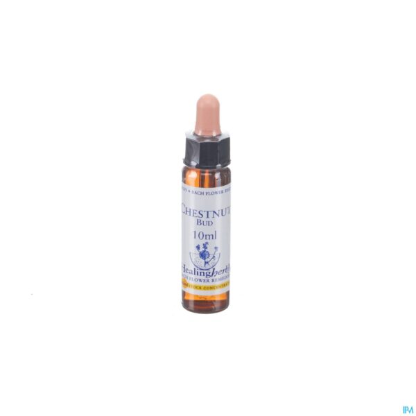Packshot Healing Herbs Chestnut Bud 10ml