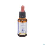 Packshot Healing Herbs Holly 30ml