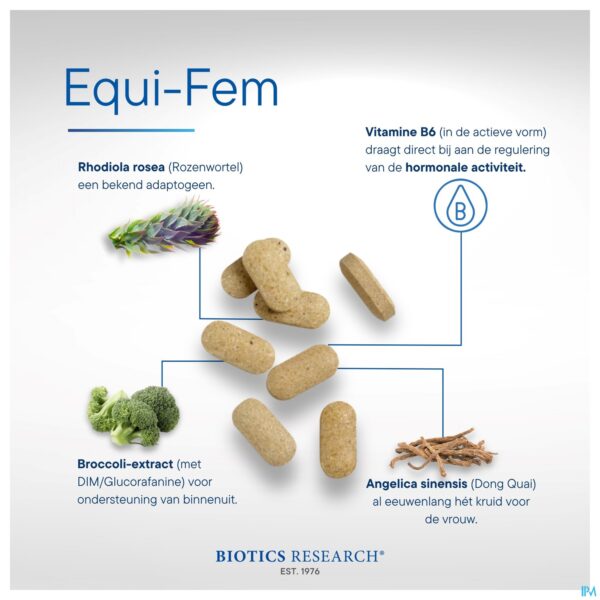 Lifestyle_image Equi Fem Comp 120