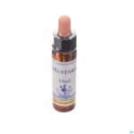 Packshot Healing Herbs Mustard 10ml