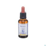 Packshot Healing Herbs Walnut 30ml
