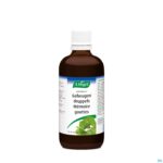 Productshot A.Vogel Geriaforce 100ml