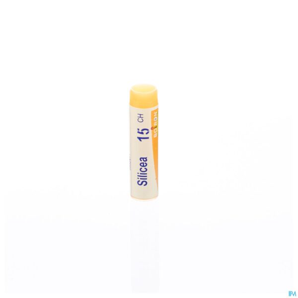 Packshot Silicea 15ch Gl Boiron