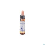 Packshot Healing Herbs Honeysuckle 10ml