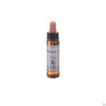 Packshot Healing Herbs Mimulus 10ml
