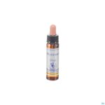 Packshot Healing Herbs Mustard 10ml