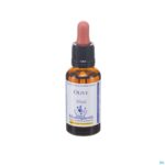 Packshot Healing Herbs Olive 30ml