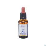 Packshot Healing Herbs Sweet Chestnut 30ml
