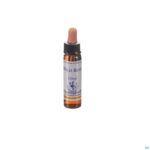 Packshot Healing Herbs Wild Rose 10ml
