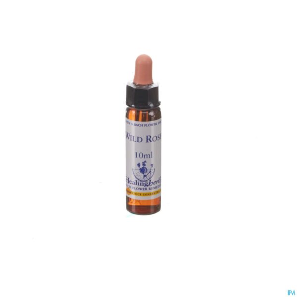 Packshot Healing Herbs Wild Rose 10ml