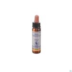 Packshot Healing Herbs White Chestnut 10ml