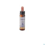 Packshot Healing Herbs Vervain 10ml