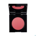 Productshot Korres Km Wild Rose Blush 24 Dusty Rose 5,5g