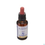 Packshot Healing Herbs Star Bethlehem 30ml