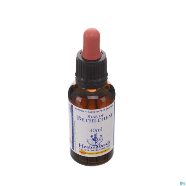 Packshot Healing Herbs Star Bethlehem 30ml