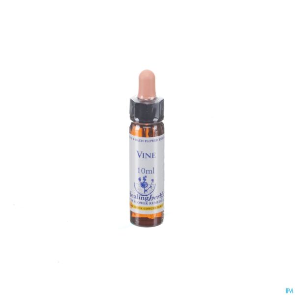 Packshot Healing Herbs Vine 10ml