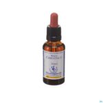 Packshot Healing Herbs White Chestnut 30ml