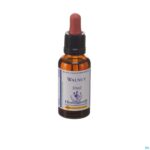 Packshot Healing Herbs Walnut 30ml