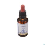 Packshot Healing Herbs Holly 30ml