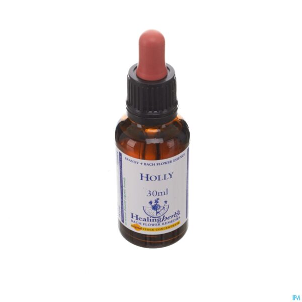 Packshot Healing Herbs Holly 30ml