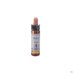 Packshot Healing Herbs Aspen 10ml