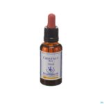 Packshot Healing Herbs Chestnut Bud 30ml