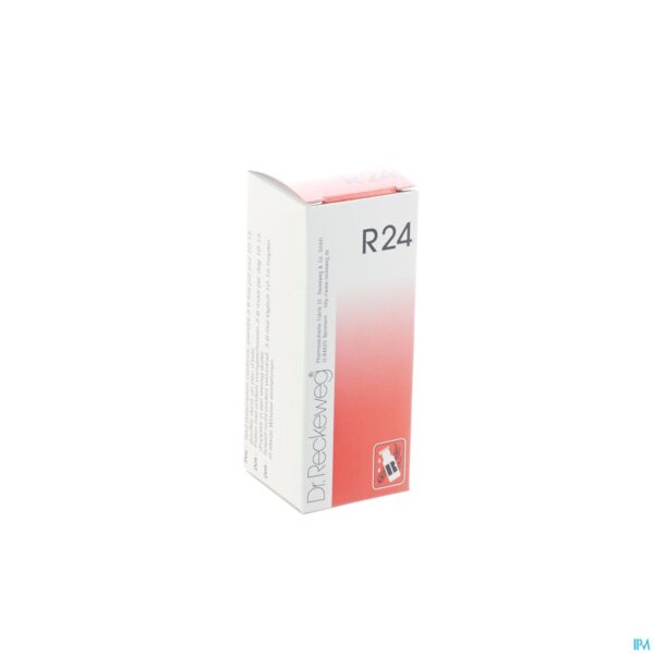 Packshot Reckeweg Dr. R24 Gutt 50ml
