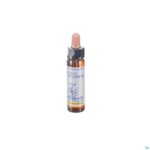 Packshot Healing Herbs Star Bethlehem 10ml