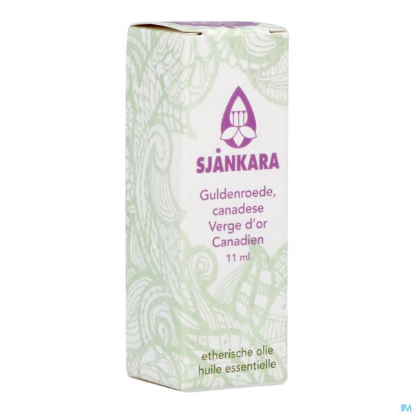 Packshot Sjankara Canadese Guldenroede Ess. Olie 11ml