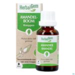 Productshot Herbalgem Amandel Bio 30ml