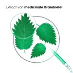 Lifestyle_image Klorane Capil. Sh Brandnetel 400ml Nf