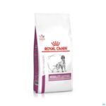 Packshot Royal Canin Dog Mobility Support Dry 12kg