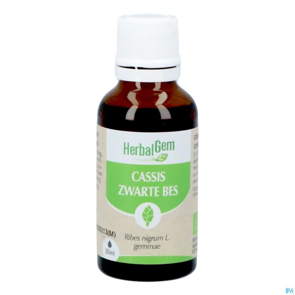 Productshot Herbalgem Zwarte Bes Bio 30ml