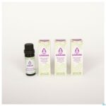 Lifestyle_image Sjankara Moeraspalm Ess. Olie 5ml