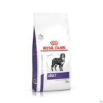 Packshot Royal Canin Dog Large Dog Adult Dry 13kg