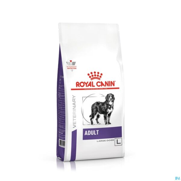 Packshot Royal Canin Dog Large Dog Adult Dry 13kg