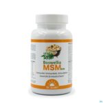 Packshot Boswellia Msm Forte Comp 90