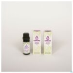 Lifestyle_image Sjankara Orangerie Synergie 5ml