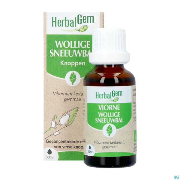 Productshot Herbalgem Sneeuwbal Bio 30ml