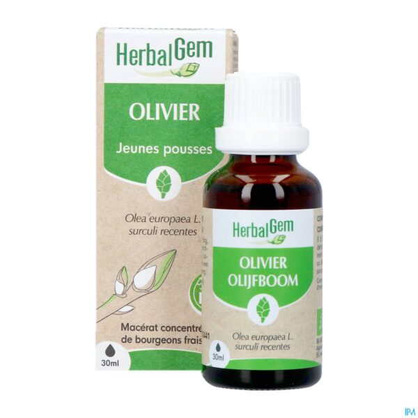 Productshot Herbalgem Olijfboom Bio 30ml