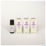 Lifestyle_image Sjankara Sandelhout Indiaas Ess. Olie 11ml