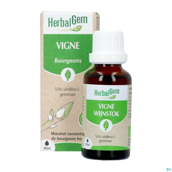 Productshot Herbalgem Wijnstok Maceraat Bio 30ml