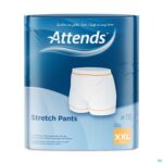 Packshot Attends Stretch Pants Xxl 1x15